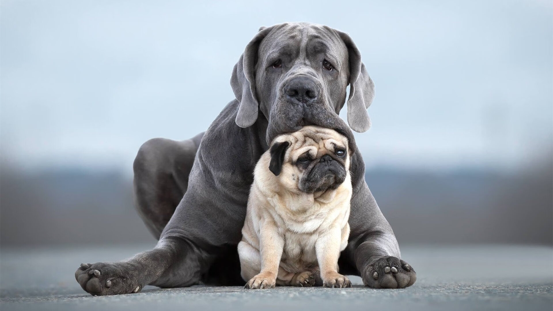 技术雷达图深度解读比赛表现，技术雷达什么意思